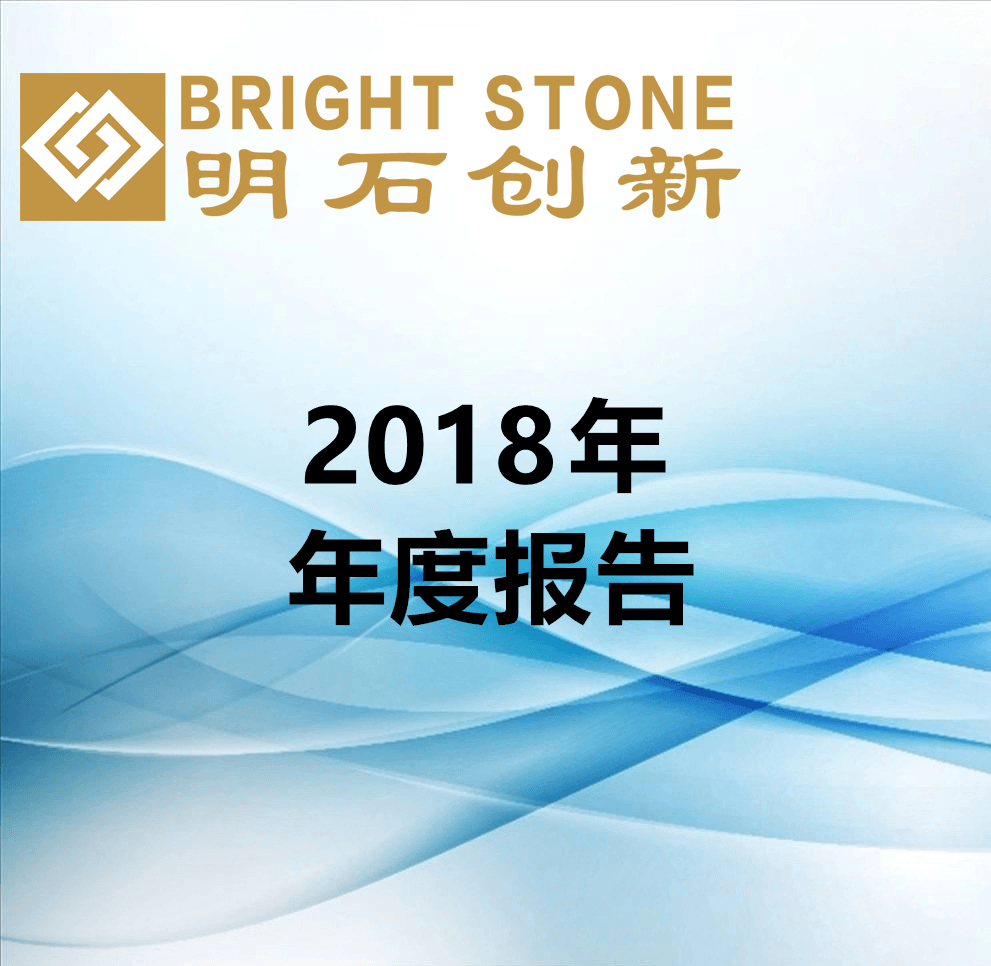 2018年年度報告