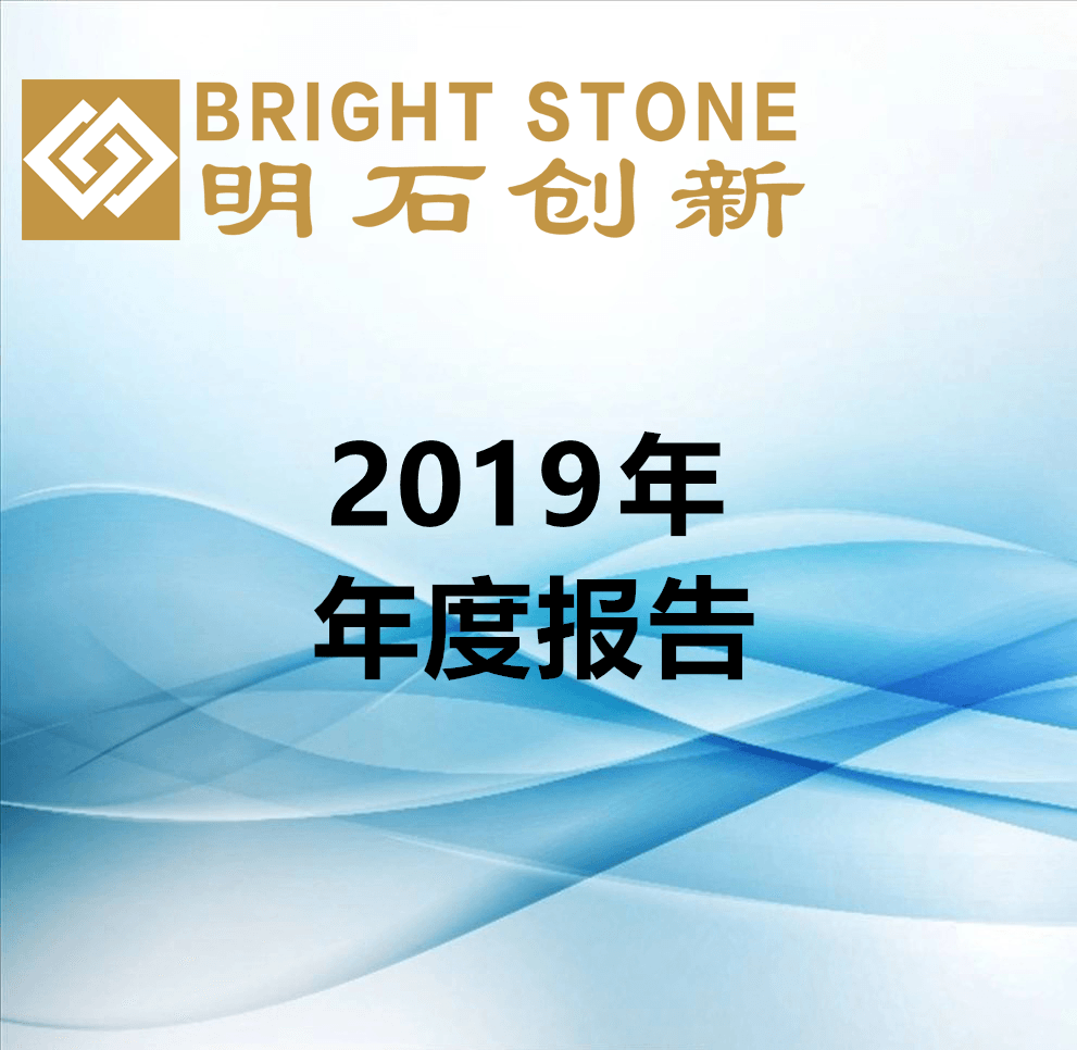 2019年年度報告