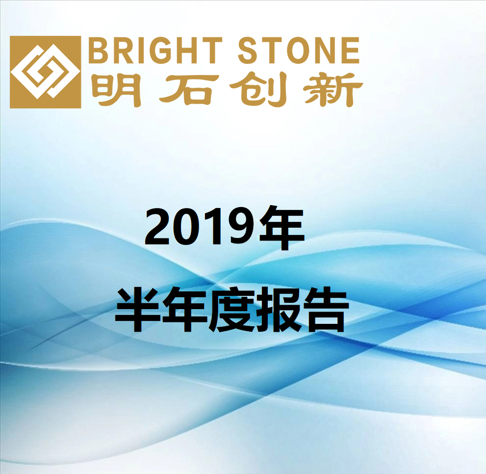 2019年半年度報告